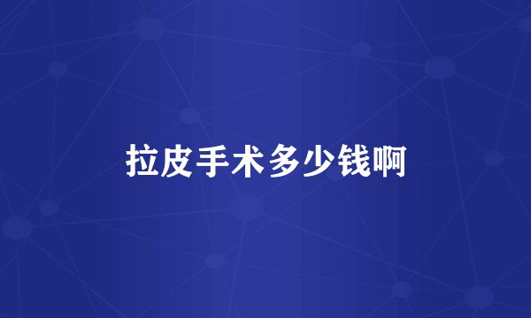 拉皮手术多少钱啊