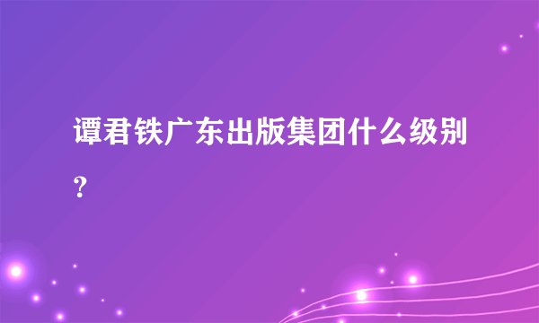 谭君铁广东出版集团什么级别？