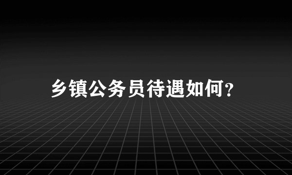 乡镇公务员待遇如何？
