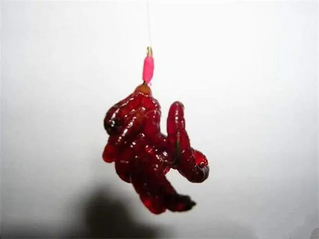 海中钓鱼用什么饵?