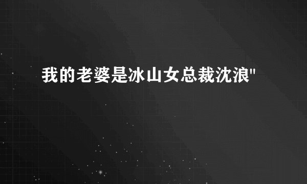 我的老婆是冰山女总裁沈浪