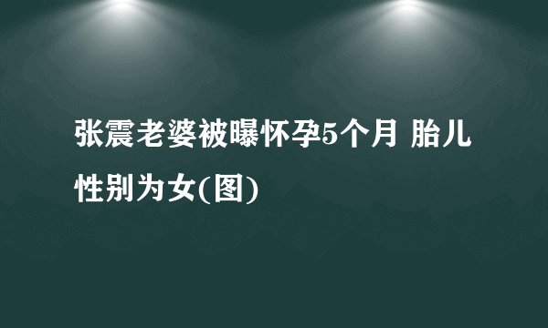 张震老婆被曝怀孕5个月 胎儿性别为女(图)