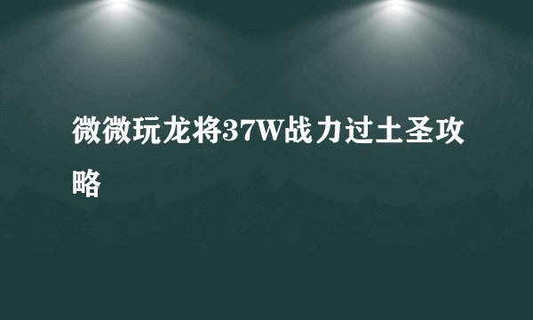 微微玩龙将37W战力过土圣攻略