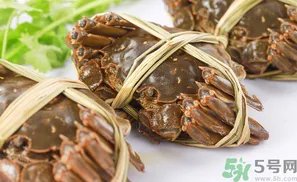 盘锦河蟹什么时候最好?盘锦河蟹什么时候最肥?