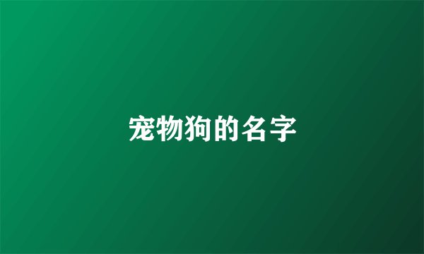 宠物狗的名字