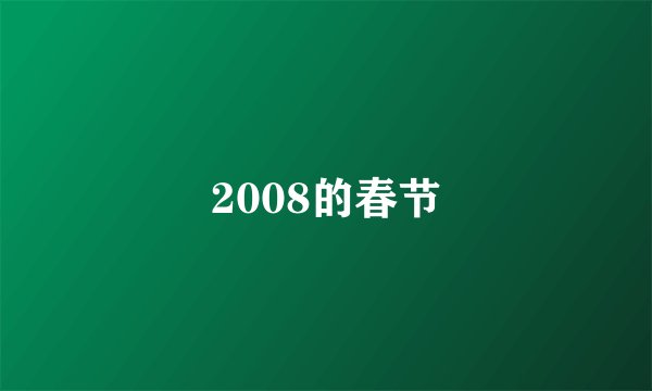 2008的春节