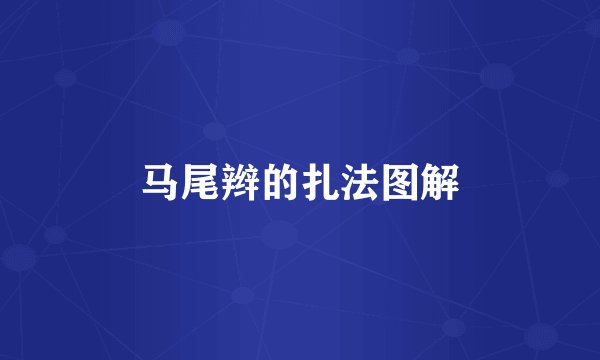 马尾辫的扎法图解