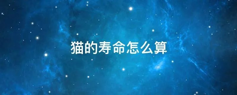 猫的寿命怎么算