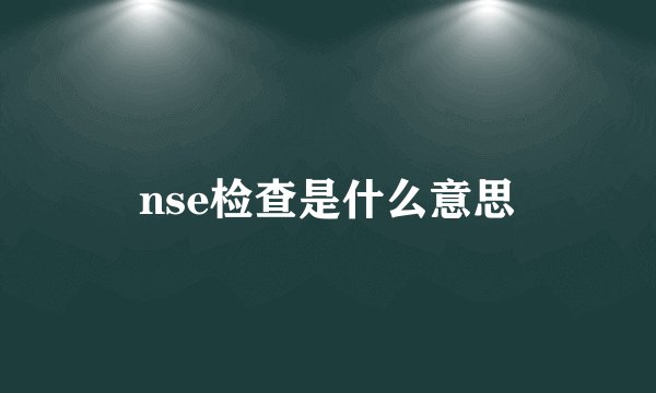 nse检查是什么意思
