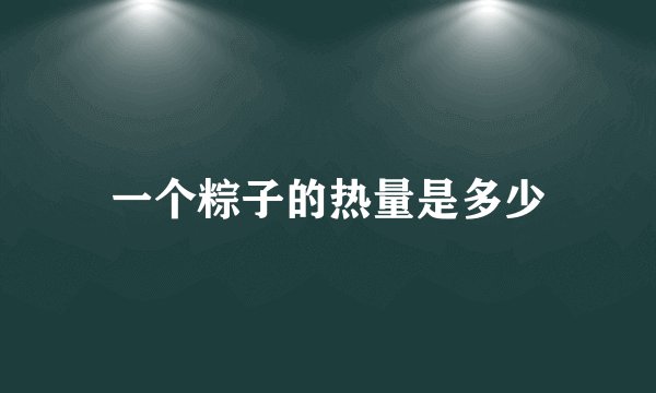 一个粽子的热量是多少