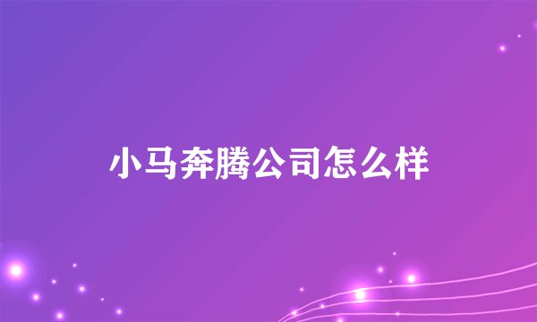 小马奔腾公司怎么样