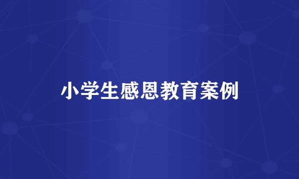 小学生感恩教育案例