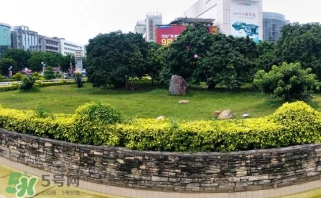 挂绿荔枝为什么这么出名?挂绿荔枝的由来和传说