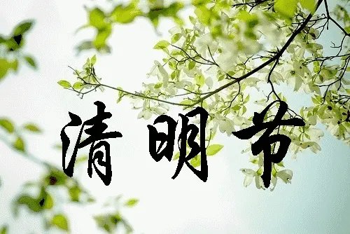 明前问候图片？