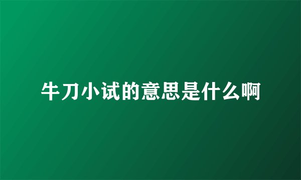 牛刀小试的意思是什么啊