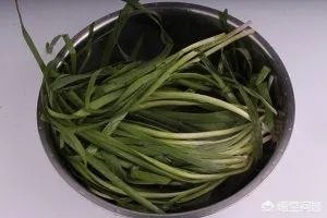 骆驼肉怎么做？
