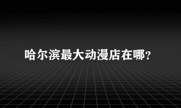 哈尔滨最大动漫店在哪？
