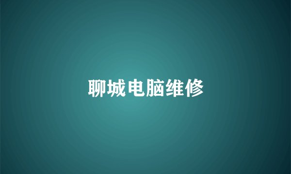 聊城电脑维修