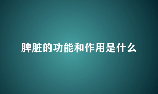 脾脏的功能和作用是什么