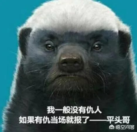 土耳其为什么敢“剑”指在叙美军？