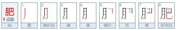 肥的笔顺怎么写