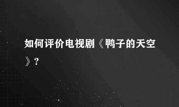 如何评价电视剧《鸭子的天空》?