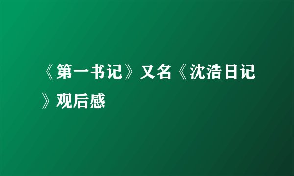 《第一书记》又名《沈浩日记》观后感