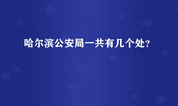 哈尔滨公安局一共有几个处？
