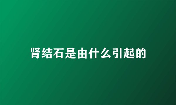 肾结石是由什么引起的