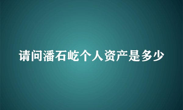 请问潘石屹个人资产是多少