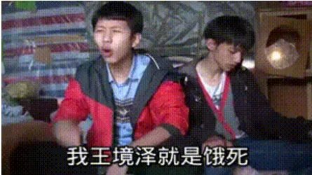 变形计王境泽哪一集啊?就是说不吃饭就死的那个人但还是吃了
