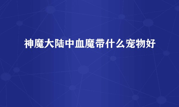 神魔大陆中血魔带什么宠物好