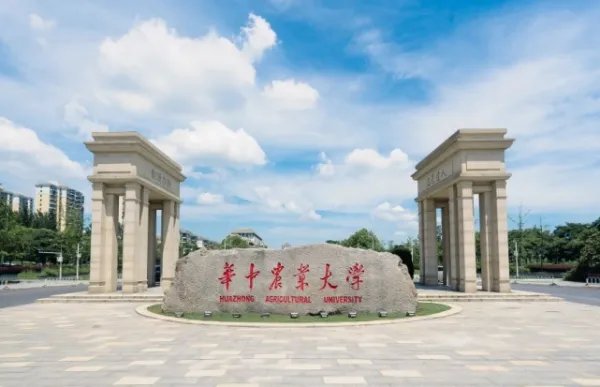 湖北高校排名2022最新排名