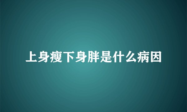 上身瘦下身胖是什么病因