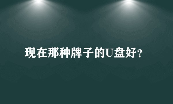 现在那种牌子的U盘好？