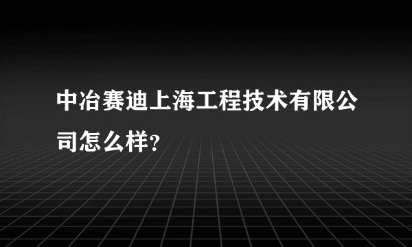 中冶赛迪上海工程技术有限公司怎么样？