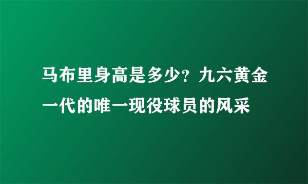 马布里身高是多少?九六黄金一代的唯一现役球员的风采