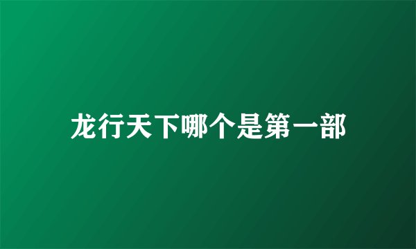 龙行天下哪个是第一部