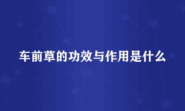 车前草的功效与作用是什么