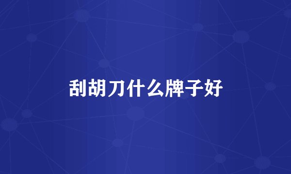 刮胡刀什么牌子好