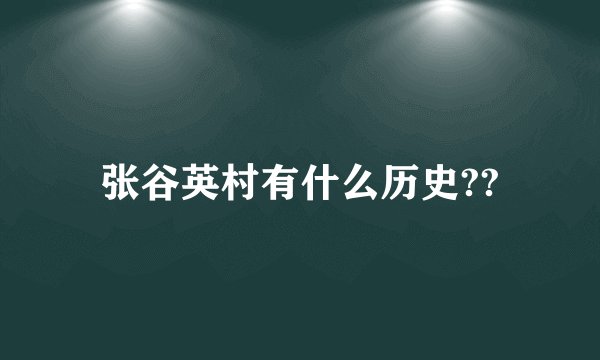 张谷英村有什么历史??