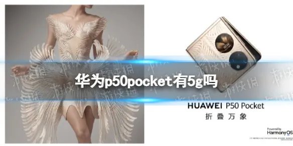 华为p50pocket有5g吗 华为p50pocket支持5g吗