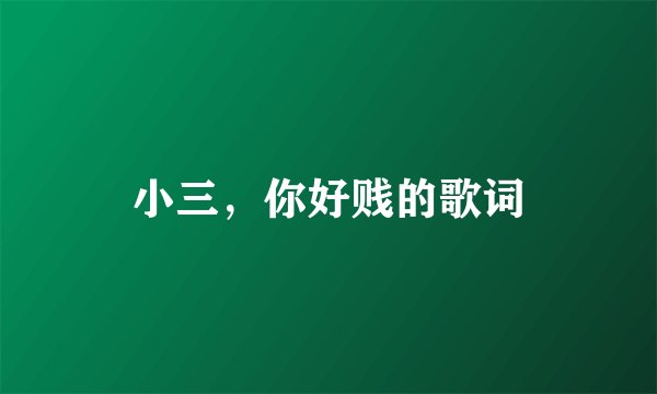 小三，你好贱的歌词