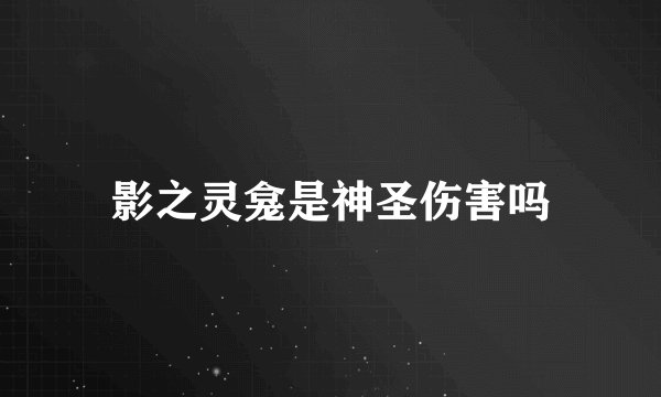 影之灵龛是神圣伤害吗