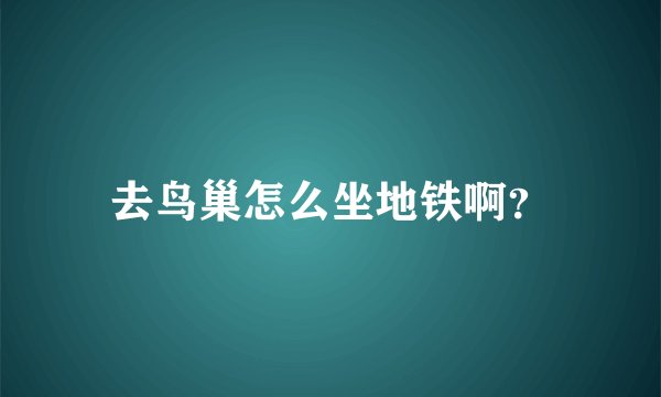 去鸟巢怎么坐地铁啊？