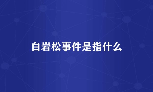 白岩松事件是指什么