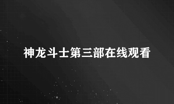 神龙斗士第三部在线观看