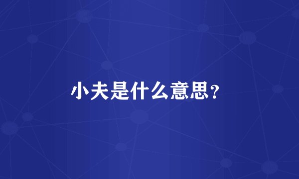 小夫是什么意思？