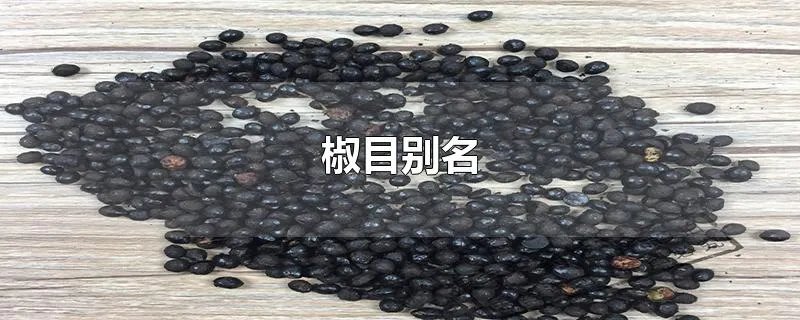 椒目别名