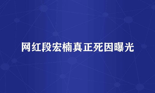 网红段宏楠真正死因曝光